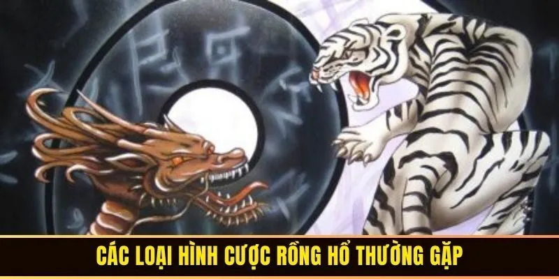 Top 5 Rồng Hổ Online Hữu Hiệu Cho Từng Cược Thủ 2 Các loại hình cược rồng hổ thường gặp