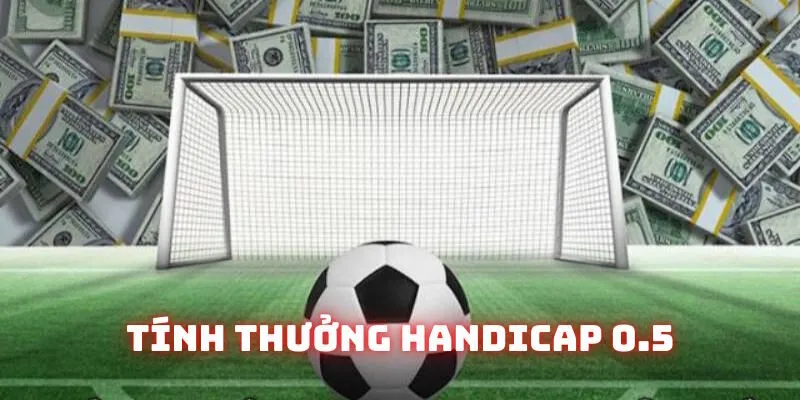 Phổ cập kiến thức tính thưởng kèo chấp 1/2