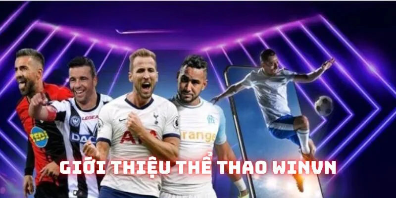 Thông tin định nghĩa thể thao Winvn